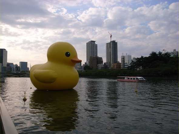 Yellow Building Sized Rubber Duck floating on a river near a small city with medium sized skyscrapers in the background